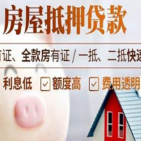 枫木镇贷款助贷公司新渝启服成立时间久